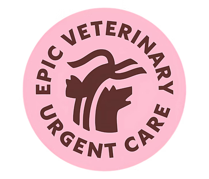 Epic Vets